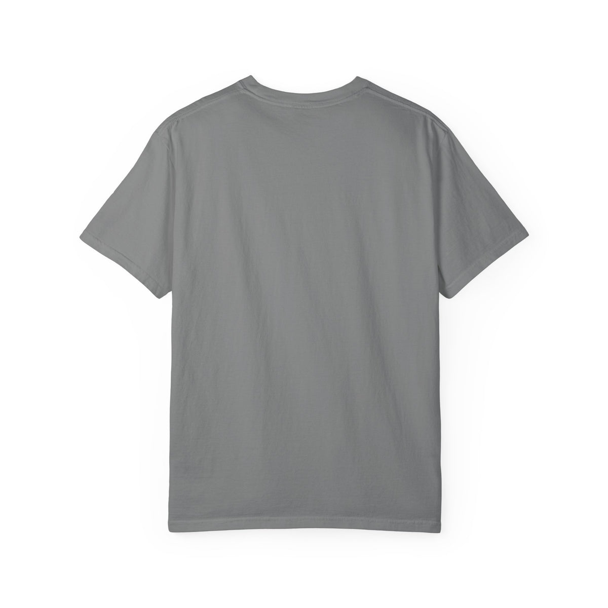 Narcotics Anonymous NA Logo – Blue Ice & Black Recovery Symbol Art T-Shirt, Recovery T-Shirt