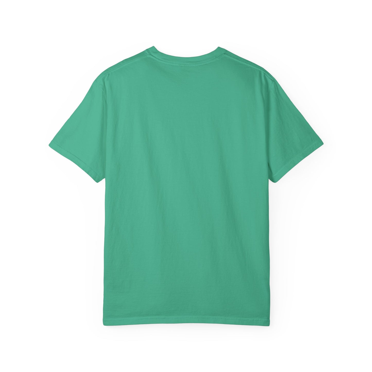 Narcotics Anonymous NA Logo – Mahi Mahi Recovery Symbol Art T-Shirt, Recovery T-Shirt