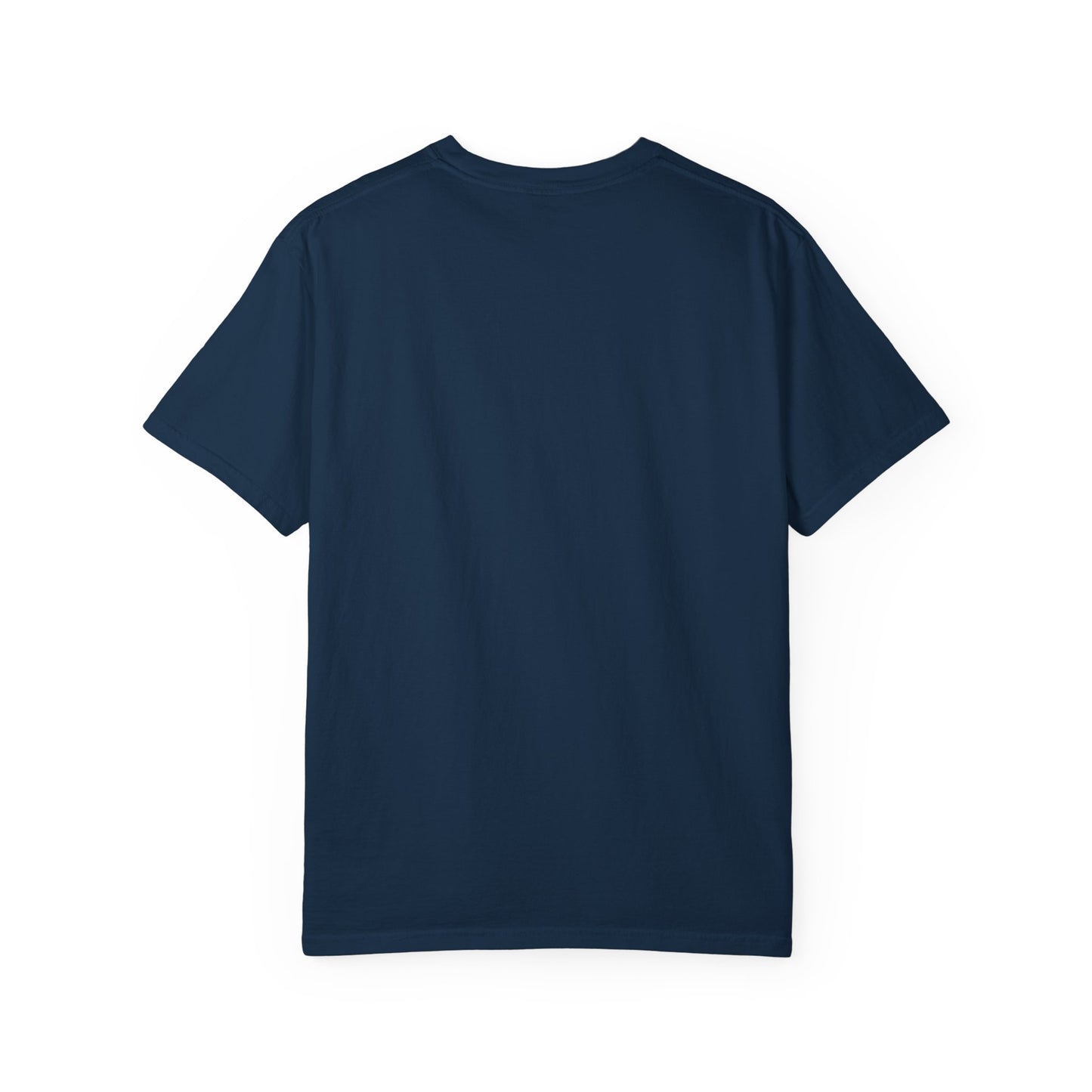 Narcotics Anonymous NA Logo – Blue Ice & Black Recovery Symbol Art T-Shirt, Recovery T-Shirt